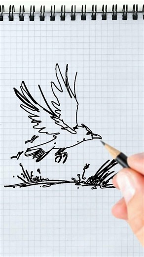 Try to guess the drawing before it reveals itself
