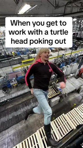 Turtle Head Poking Out at Work — Funny Electrician Moment