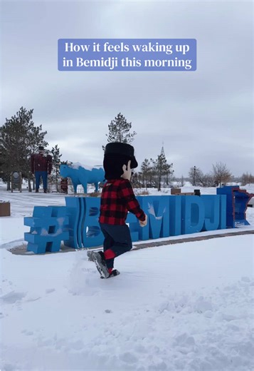 Springtime in Bemidji: A Winter's Struggle