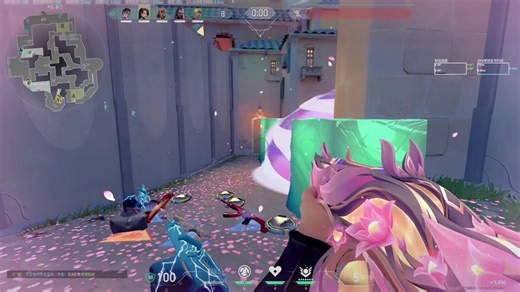 Valorant枪械技巧与团队合作心得