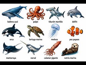 I’ll Explain the 12 Most Incredible Marine Animals