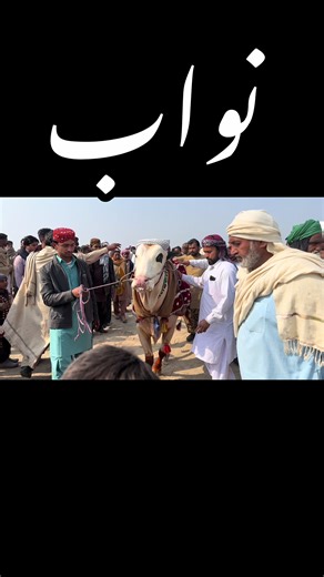 Insights on Creator Search Trends for 2026