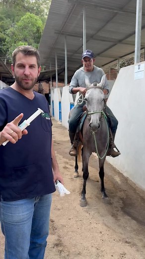 Recuperação Eficaz para Cavalos com Botupharma