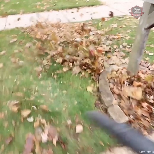 12K views · 46 reactions | How To Do a Major Leaf Clean Up | Brian's Lawn Maintenance - Youtube | Facebook