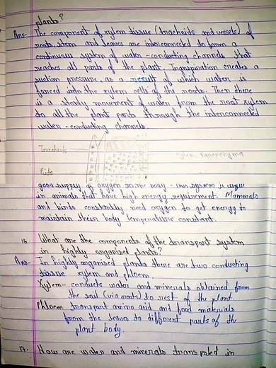 Life process class 10 in text question answer NCERT solutions