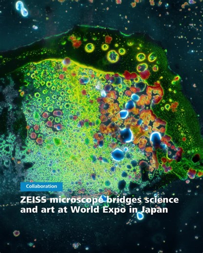 4.2K views · 33 reactions | We're thrilled to announce our...