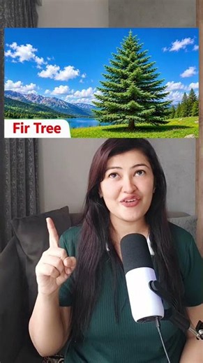 Don't Say "Tree" For Everything | 15 Tree Names You Should Know