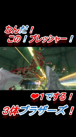 なんだ？この❣プレッシャー❣❤１でする❣剣だけで闘え❣３体ブラザーズ❣😊😊😊😊😊😊😊😊 #Shorts #ゼルダの伝説 #ティアーズオブザキングダム #totk #ライネル #zelda