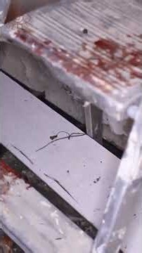 Scary Video: Abandoned House Marked With Sixes | Ghost Caught on Camera