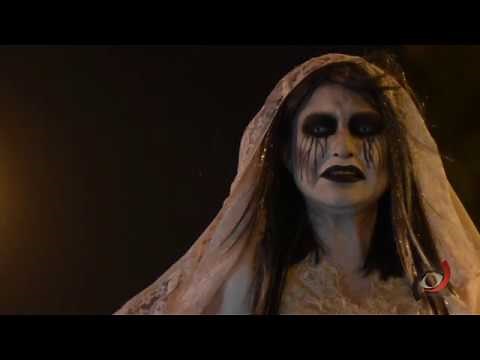 Género narrativo, lírico, dramático, ensayo literario