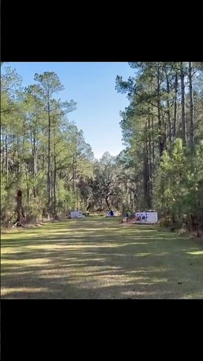 50m Moving Target Through the Woods