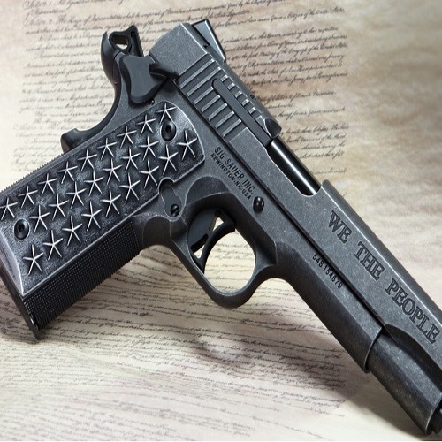 SIG Sauer 1911 Pistol Series Review - Gunivore