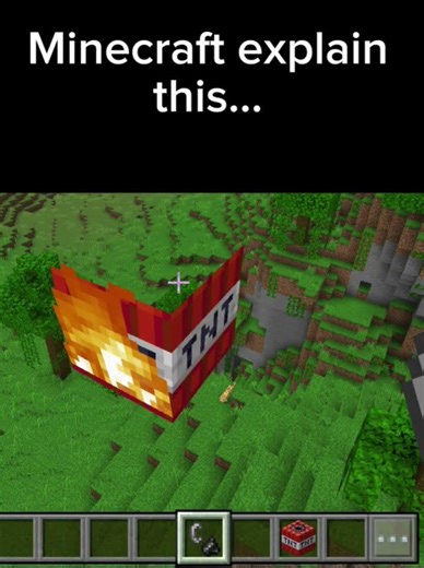 Minecraft explain this... #minecraft #funny