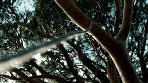 31K views · 2.5K reactions | We're exactly 2 weeks away! | Ragnar Lothbrok | Facebook