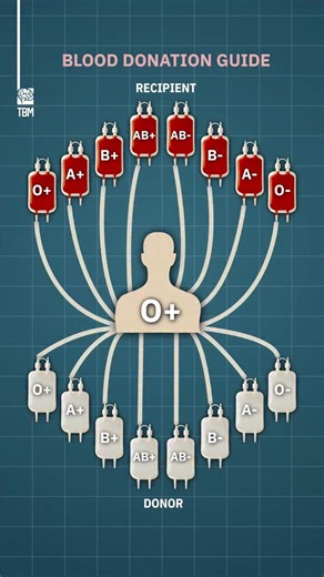 blod donation guide | هيا لنتعلـــم معا