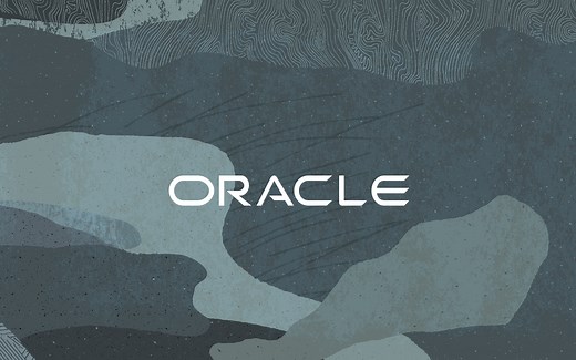 Oracle Primavera Unifier（PU）软件安装教程视频