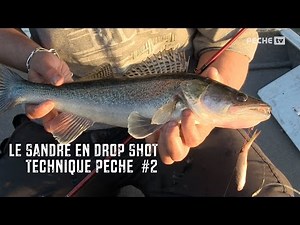 Extrait - Pêche du sandre en Drop Shot
