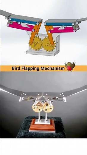 Bird Flapping Mechanism 👍 or 👎