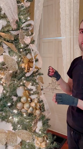 Professional Tips for Hanging Ornaments on Your Christmas Tree