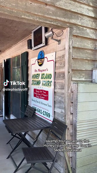 Explore Louisiana's Ecosystem on a Honey Island Swamp Tour