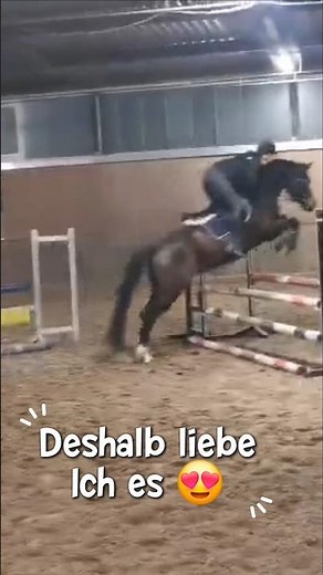 Springstunden immer ein Reality Check #springreiten #jungpferd #equestrian #pferdeliebe #training