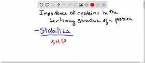 SOLVED:What is ninhydrin reagent? How is it used for identification of amino acids? Explain giving chemical equations.