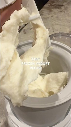 The Original Tart Frozen Yogurt Recipe 🍋🍦#frozenyogurt #froyo #latenightsnack #simplerecipe