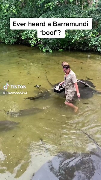 Exploring Barramundi Habitat: Fishing and Adventure