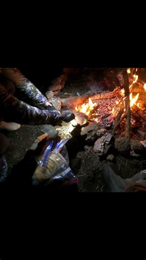 Cooking Elk Over the Campfire with the Boys #shorts #elk
