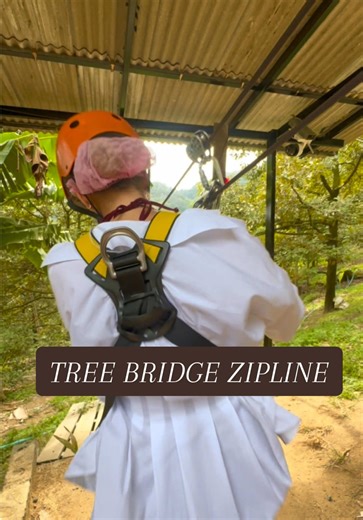 Exploring the Tree Bridge Zipline in Koh Samui