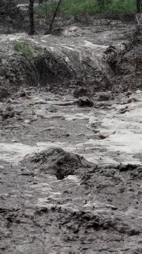 37K views · 663 reactions | This video shows the evolution of the...