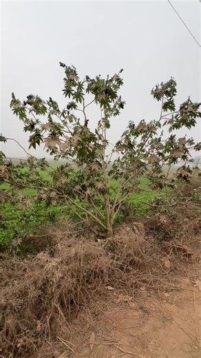 How to Unfreeze Your Account Quickly and Effectively