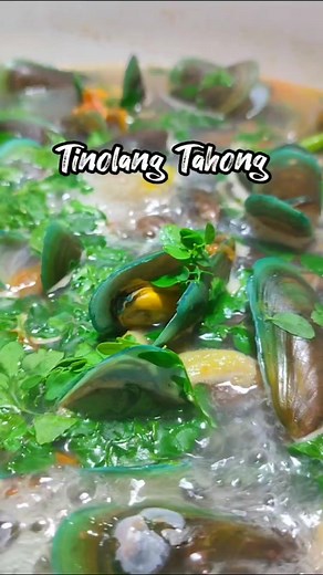 Mussels soup for rainy day. Sabaw kayo jan!😁 #homecooking #musselsoup #mussels #tahong #cooking #homecooked #cookingreels #cookingvideo #yummyfood #food #foodie | Mars Perez