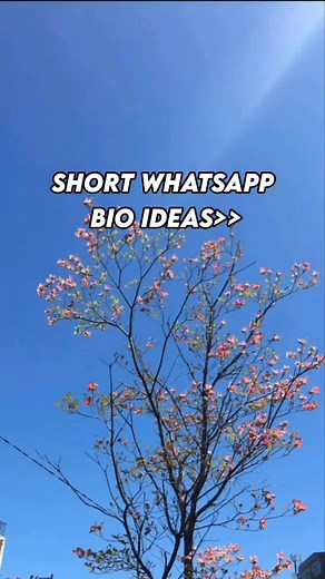 Creative Bios for Your Social Media Profiles