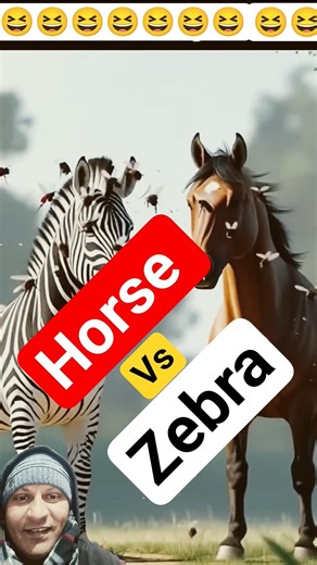 Zebra and Horse – Similar Looks, Different Lives| #shorts #tweening #elevenhopper #facts #trending