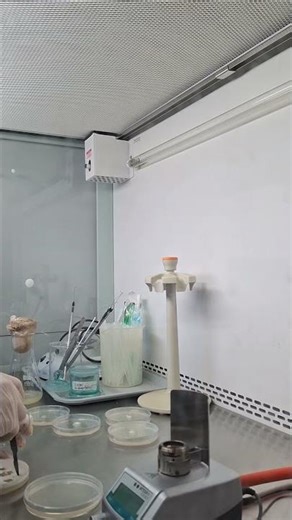 Agar plates inoculation #shorts #science #lab #laboratory #biology #biotechnology #mushroom