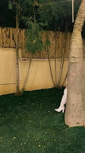 13 reactions | SUPPORT ME GUYS! THOC FASHION SHOW (Day 1 Sports Attire) #thehouseofcollab | Pamela Mae Perez | Facebook