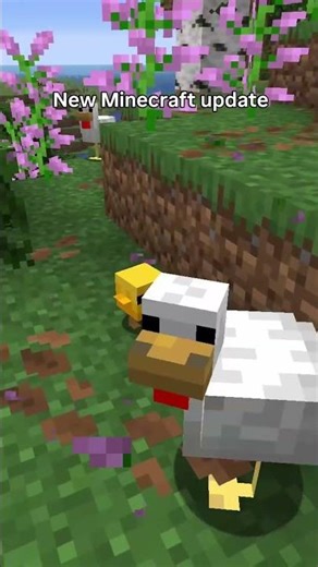 new UPDATE MINECRAFT!!!