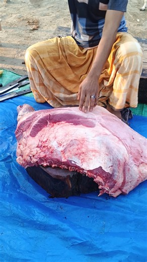 Full Cow Meat Cutting Process Step by Step 🐄🔪 #BeefCutting #CowMeat #ButcherSkills #FreshBeef