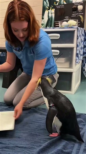 His reaction to the painting is just 😂😂