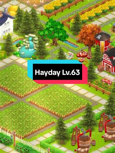 Hay Day Level 63 Decoration Ideas
