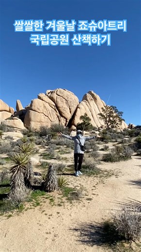 쌀쌀한 겨울날 죠슈아트리 국립공원 산책하기 #죠슈아트리공원#joshuatreenationalpark #palmsprings#joshuatree