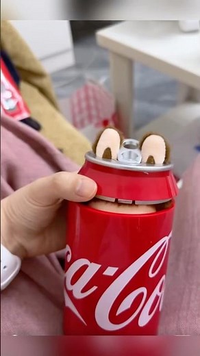 The SECRET Coca-Cola Labubu REVEALED! OMG, She's ADORABLE! ✨#labubu #cute #popmart