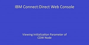 Accessing initialization params CDW