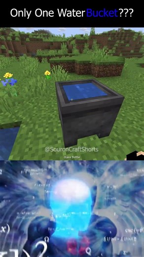 Did you know? #minecraft #shorts #minecraftshorts