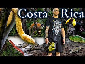 Face To Face With The Most Venomous Snake In Costa Rica | ‪@MikeTytula‬ Takes a Bullet in The Jungle!
