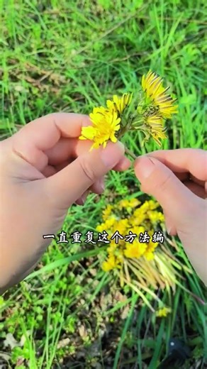 Dandelion garland Weaving tutorial#Manual tutorial sharing#Garland