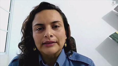 Turtles hatch on Colombia beach