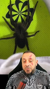 2.3M views · 10K reactions | Aranha armadeira gigante dentro do...