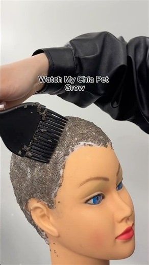 Watch my mannequin Chia pet grow / day 1-13 #satisfying #chiaseeds #beautyschool #cosmetology